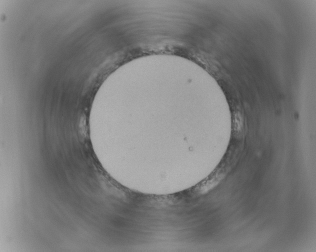 X0000071860820200607211915