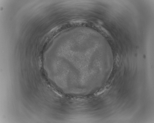 X0000071860821200607211915