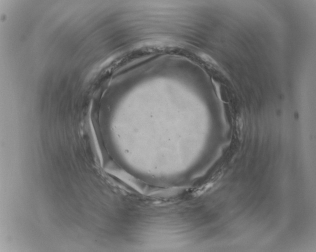 X0000071860822200607211915