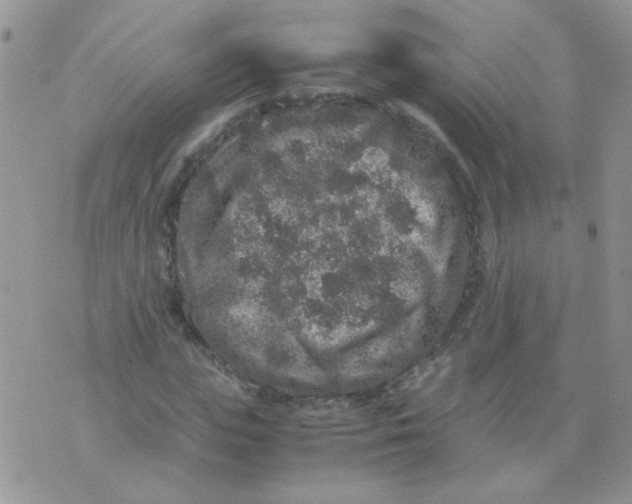 X0000071860823200607211915