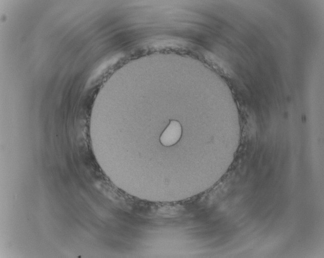 X0000071860824200607211915