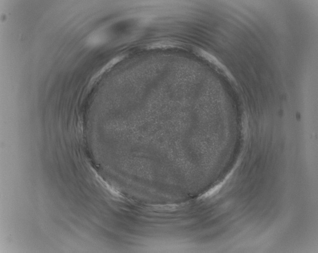 X0000071860825200607211915