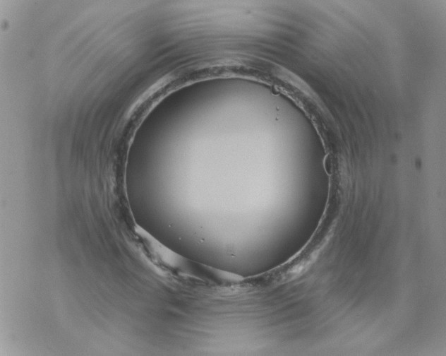 X0000071860826200607211915