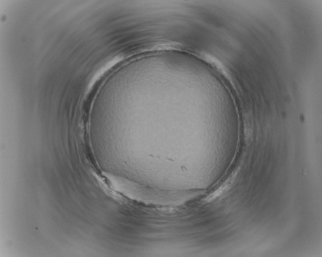 X0000071860827200607211915