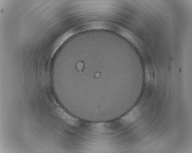 X0000071860828200607211915