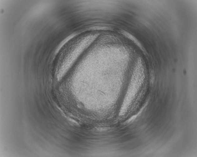 X0000071860829200607211915