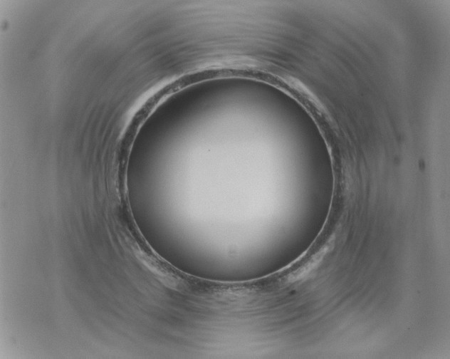 X0000071860830200607211915