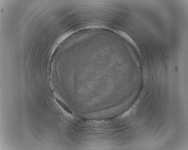 X0000071860831200607211915