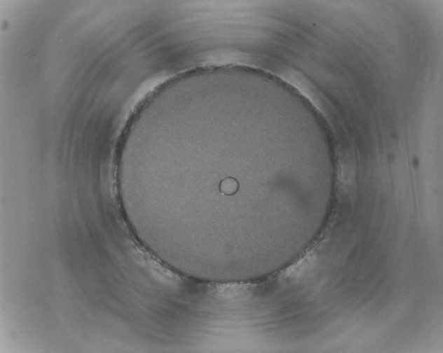 X0000071860832200607211915