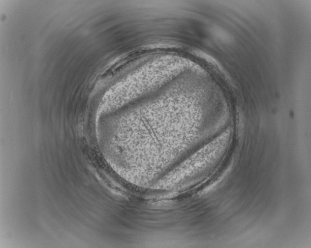 X0000071860833200607211915