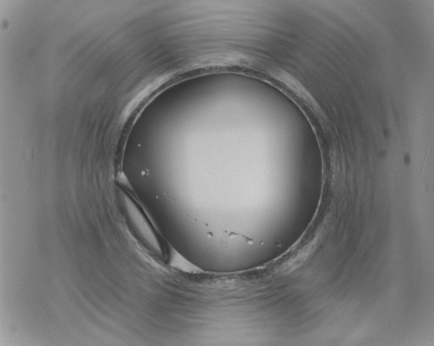 X0000071860834200607211915