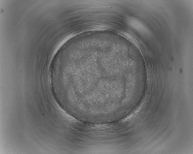 X0000071860835200607211915