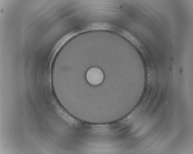 X0000071860836200607211915