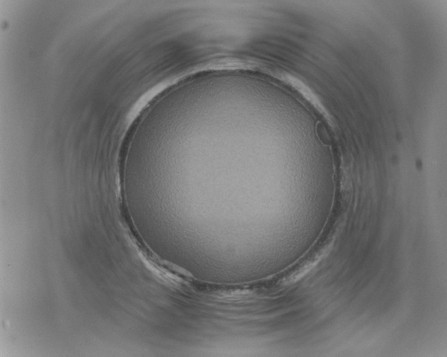 X0000071860837200607211915