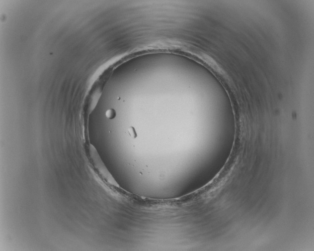 X0000071860838200607211915