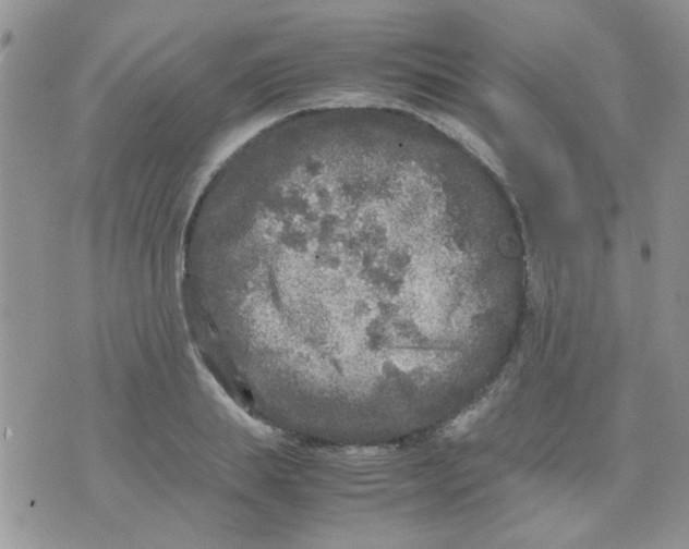 X0000071860839200607211915