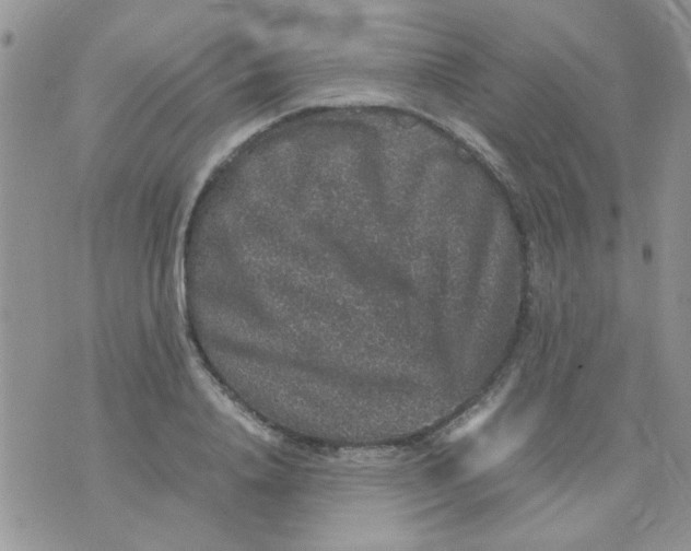 X0000071860840200607211915