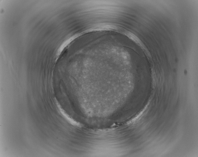 X0000071860842200607211915