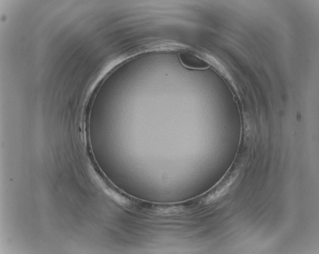 X0000071860843200607211915