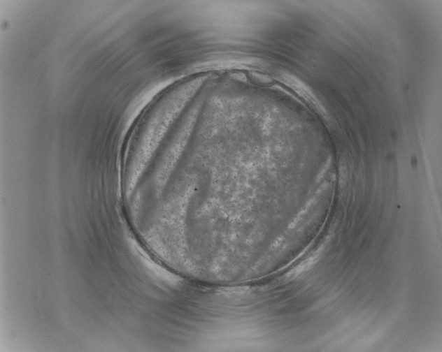 X0000071860844200607211915