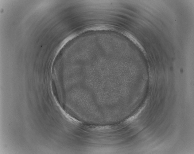 X0000071860845200607211915