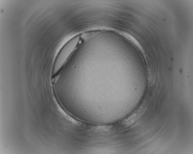 X0000071860847200607211915