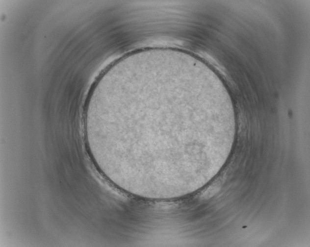 X0000071860848200607211915