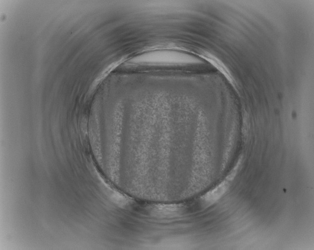 X0000071860849200607211915