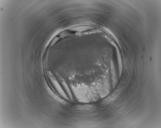 X0000071860851200607211915