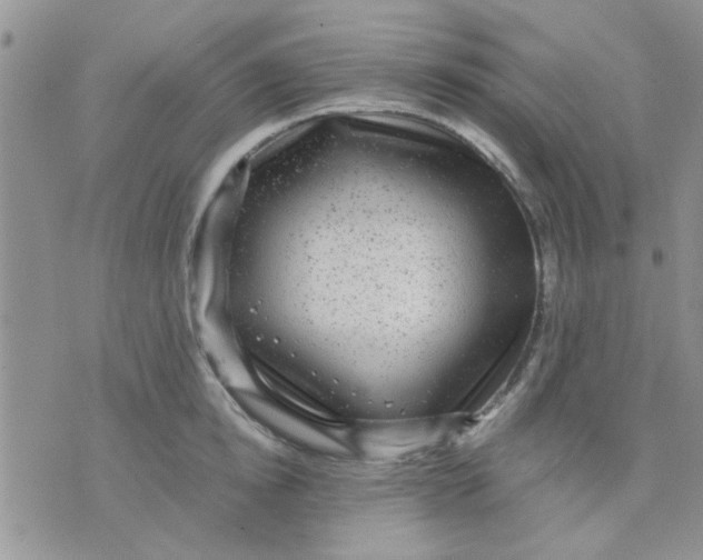 X0000071860854200607211915