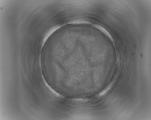 X0000071860855200607211915