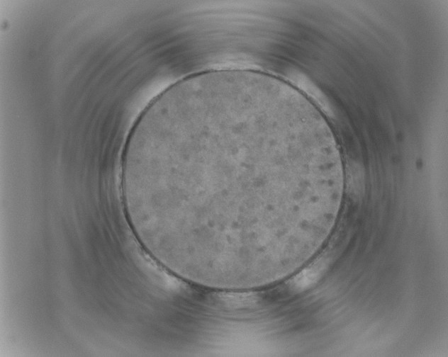 X0000071860856200607211915