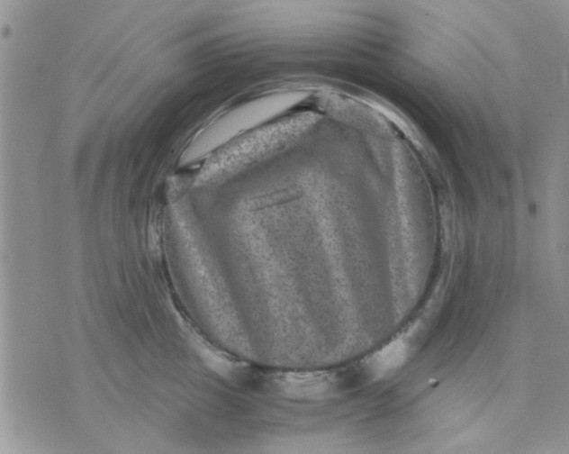 X0000071860857200607211915