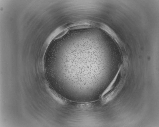 X0000071860858200607211915