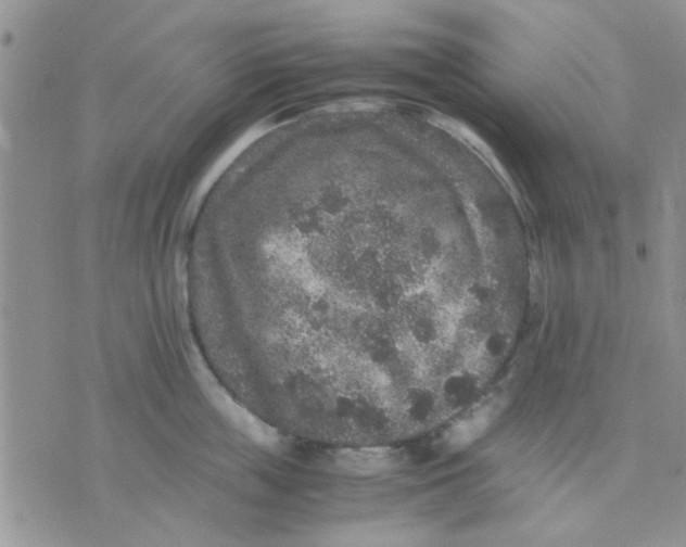 X0000071860859200607211915