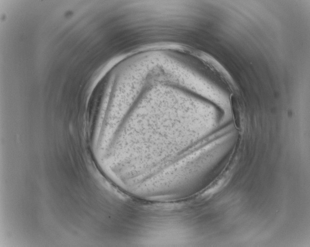 X0000071860860200607211915