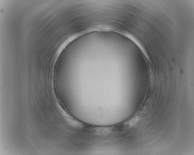 X0000071860861200607211915