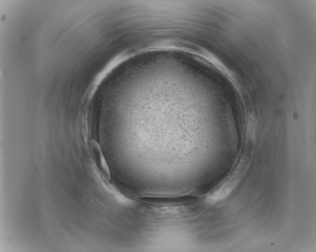 X0000071860862200607211915