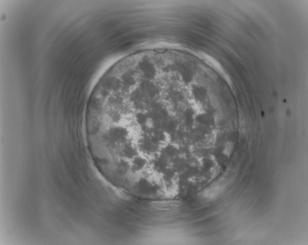 X0000071860863200607211915