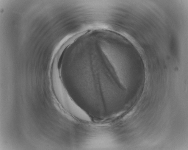 X0000071860864200607211915