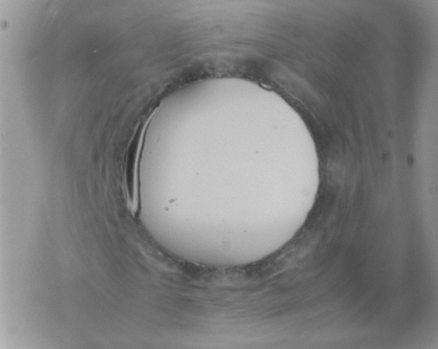 X0000071860865200607211915