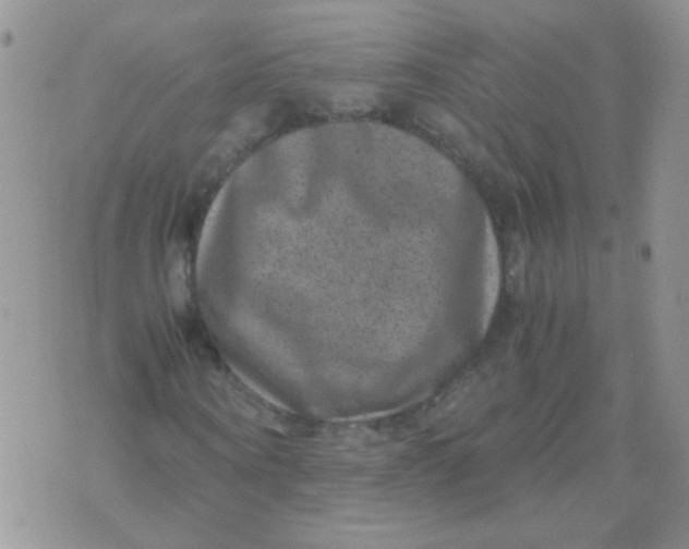 X0000071860866200607211915