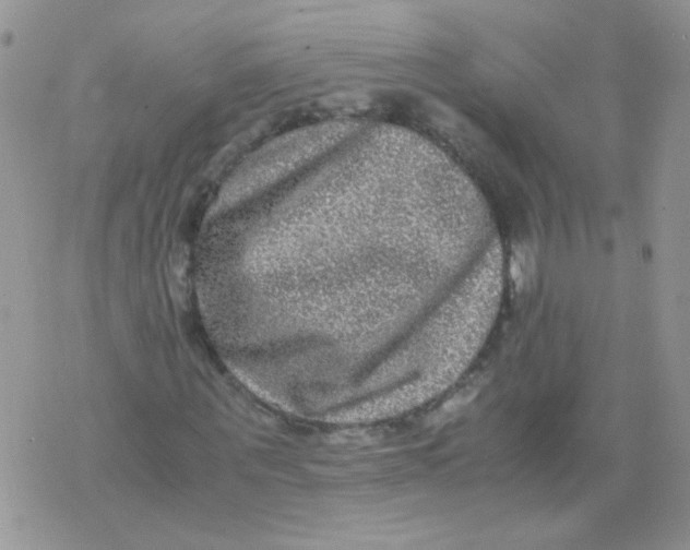 X0000071860867200607211915