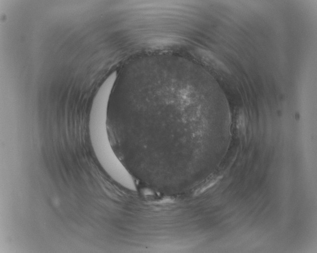 X0000071860868200607211915