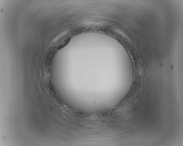 X0000071860869200607211915