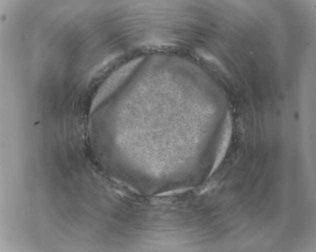 X0000071860870200607211915