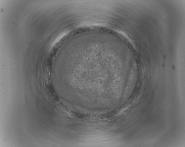 X0000071860871200607211915