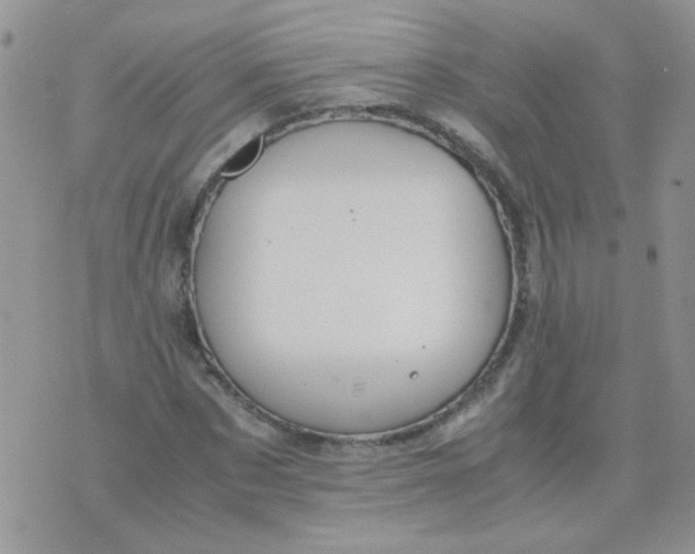 X0000071860873200607211915