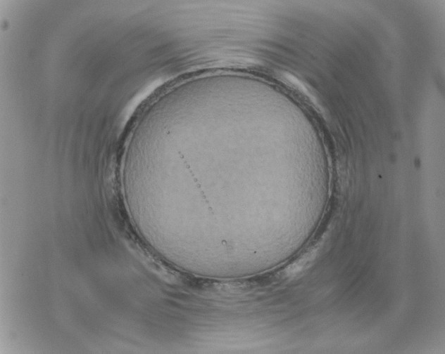 X0000071860875200607211915