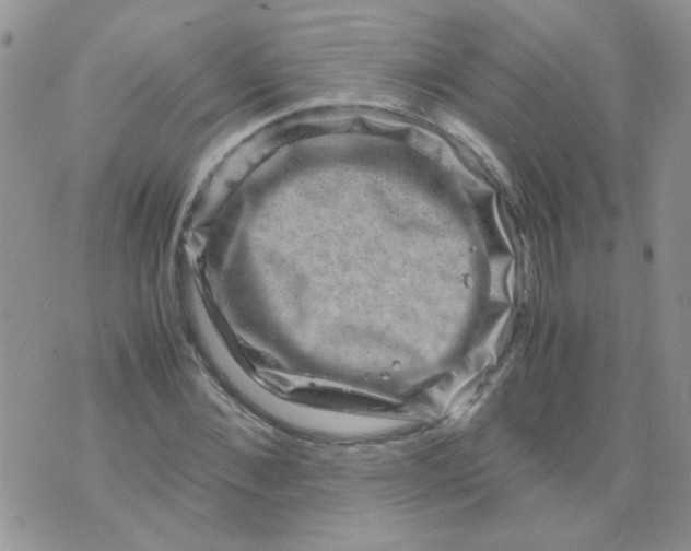 X0000071860876200607211914